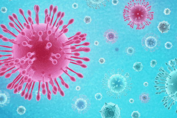 Coronavirus update 2 17