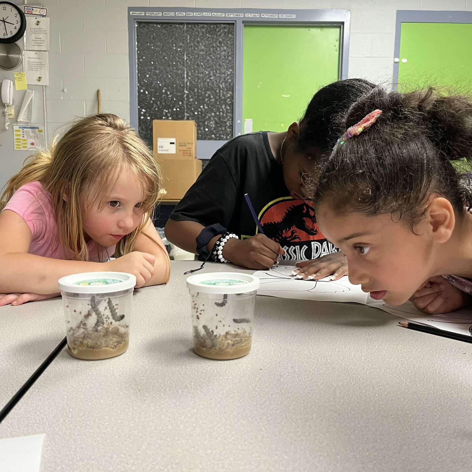 Children in an EnrichEd after-school program observing caterpillars in cups and sketching notes.